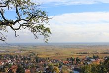 Palatinate in autumn near Neustadt/Weinstrasse