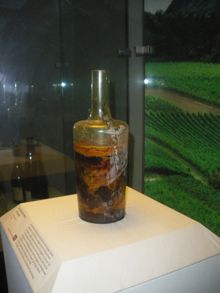 Speyer - Oldest liquid wine in the world