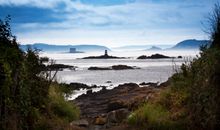 Misty morning in Herm
