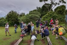 O'Reilly's Rainforest Retreat Bird Week