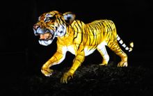 Chester Zoo's Lantern Magic Event