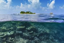 Maafushivaru