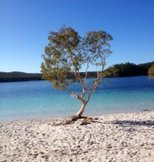 Lake McKenzie- K'gari 