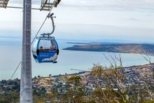 Arthurs Seat Eagle