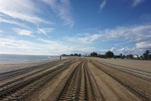 Isla Canela beach, Ayamonte