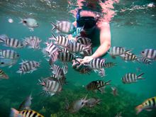 Snorkelling