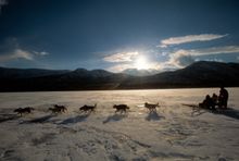 Husky sleigh ride