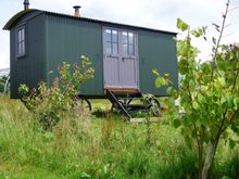 Dorst Forest Garden, cosy Shepherd's Hut for winter camping