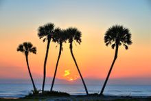 Daytona Beach