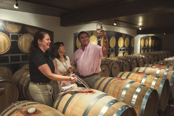Explore Texas Wine Country with visits to the more than 30 wineries and tasting rooms in the Fredericksburg area.