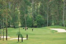 Bonville Golf Resort 
