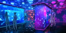 SEA LIFE London Aquarium is Ocean Invaders: Enter the world of the jellyfish.