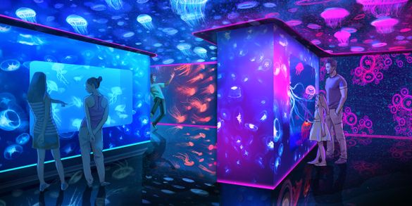 SEA LIFE London Aquarium is Ocean Invaders: Enter the world of the jellyfish.