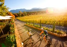 Feathertop Winery