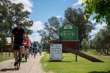 Tour de Pedal to Produce, Olives