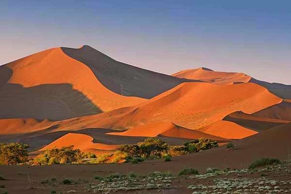 Namibia's Red Sand Dunes