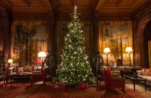 The Christmas Tree at Cliveden
