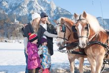 Haflinger Advent & Kutschfahrt