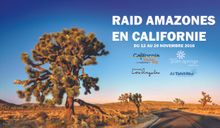 Raid Amazones 2016