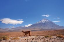 Licancabur  Volcano, Chile