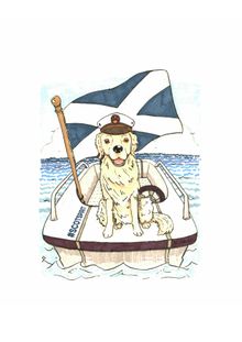 Captain George The Sea Dog
