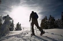 Cross-country skiing in the Harz