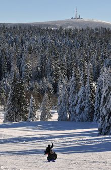 Tobogganing in the Harz