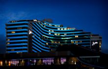 Facade projection - turtle