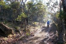 The Bibbulmun Track passes through the Peel Region