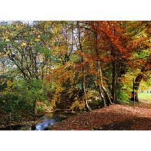 Along the banks of the River Misbourne, Amersham