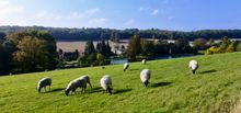 The Chess Valley