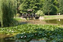 The Great Forest - Debrecen