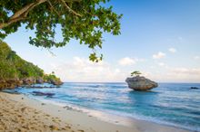 Fyling Fish Cove - snorkel straight from the shore
