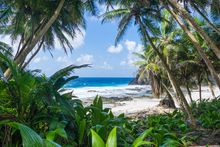 Dolly Beach