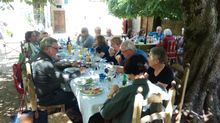 Olive oil tasting Umbria
