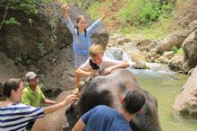 Washing Elephants in Burma