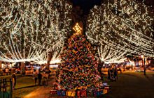 St. Augustine Nights of Lights Plaza Christmas Tree