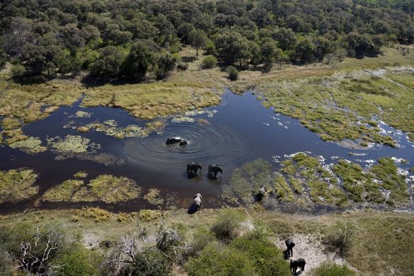 Okavango Delta