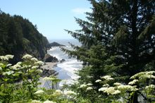 Oregon: In the footsteps of David Douglas tour, RHS