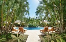 The Harmony Hotel