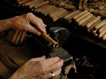 For more than 130 years, Cuban masters have rolled hand-made cigars in Ybor City.