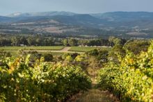 Yarra Valley, Victoria - *Photo by Robert Blackburn 2016, Visions of Victoria