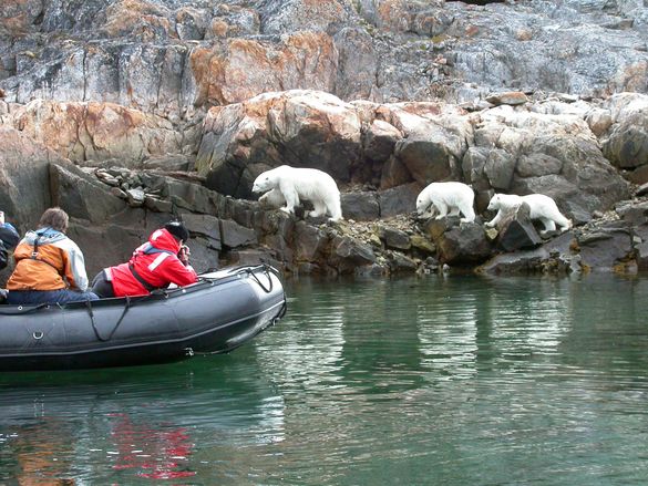 Adventure Canada Out of the Northwest Passage