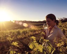 South Australia's Barossa Valley will feature in the World's 50 Best Restaurants Awards Academy Chairs' program