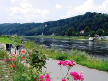 Cycling on the Elbe
