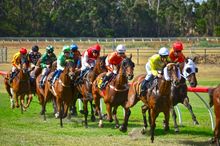 Mount Barker Co-operative Grapes and Gallops Festival