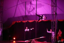 Western Australian Circus Festival