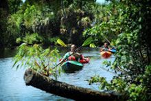 Homosassa Springs