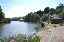 Perchwood Shippen