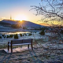 National Arboretum Canberra in winter by @carolelvin 